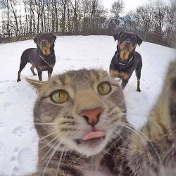 #Selfie by bethanylilyapril