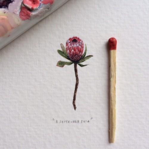 garabating:  Lorraine Loots Extraordinary miniature paintings by Lorraine Loots | Tumblr | Instagram (via illustratosphere) 