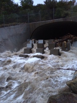 allah-lah:  I love when it rains look at the creek next to my