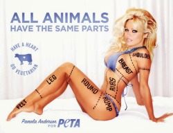 not-burnie:  In case you needed proof that Peta is literal scum. 