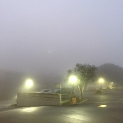 Creepy mornings up in PV💀👽