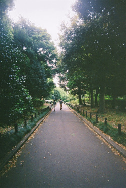 calms:  nature/vintage blog     