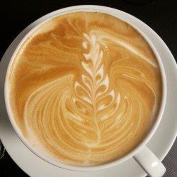 Medium decaf latte made with whole milk. #barista #baristalife