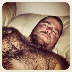housebearsofatlanta:  Real bears have full beards 
