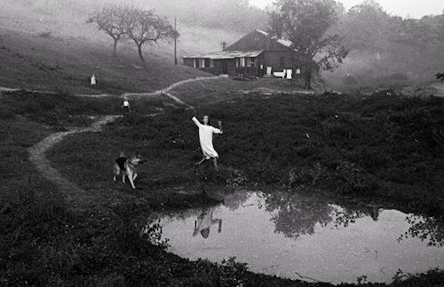 filmgifs:Nostalghia (1983) dir. Andrei Tarkovsky