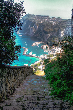 carbonking:  italian-luxury:  Road To Capri Harbor      (via