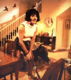 ilmioamorehauncuoredipanda:  Freddie Mercury, I want you break