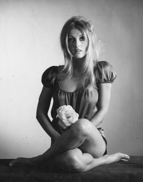 romanbymarta:  Sharon Marie Tate Polanski (January 24, 1943 –