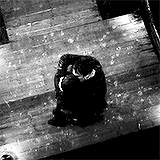 maryanaleite:  hotsexwithdamon:  Promise me this is  f o r e