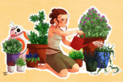 critter-of-habit:  Rey would love to have her own little garden.