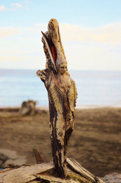 1m-a-natural-dreamweaver:  crossconnectmag:  The Wonderful Driftwood