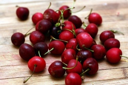 everybody-loves-to-eat:  - 