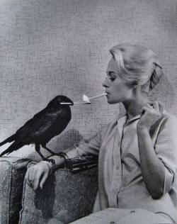 cynema: Tippi Hedren having her cigarette lit by a crow on the