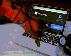 GIF87a