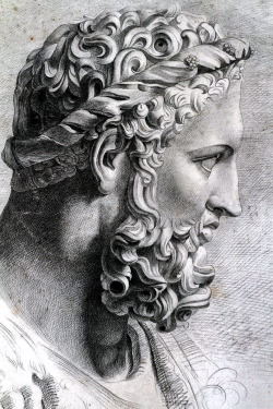 Hercules (Heracles) head Drawin.  