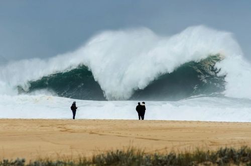 The Surf Slab