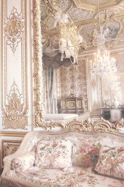ghostlywatcher:  Palace of Versailles.  