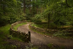 bluepueblo:  Stone Walled Path, Lancashire, England photo via