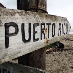 iwannaflyman:Best place on earth!