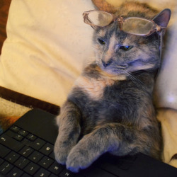 sluttyoliveoil:  please, Sharon, I’m trying to get some work done   This is too-tired-to-life perfectly