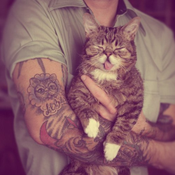 lieswithprettyribbons:  Again Cats and Tats. 