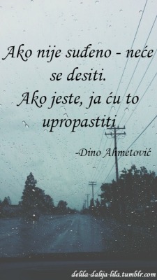 delila-dalija-lila:  -Dino Ahmetović