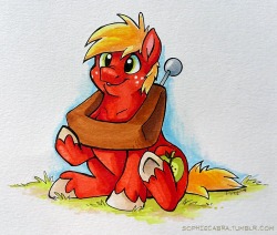 ponybalderdashery:sophiecabra:“You’ll Grow Into It”  Traditional