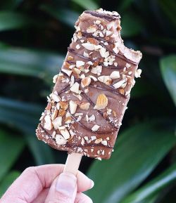 thecoconutgoddess:  This is a vegan (!!) salted caramel and dark