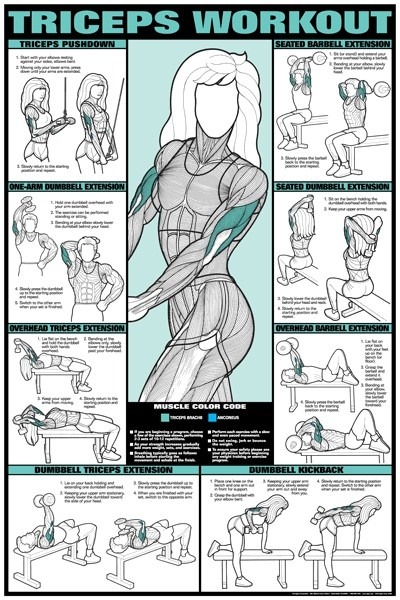 sourcedumal:  male-fitness-motivation:  If you’re ever at a loss for a new way to target certain muscle groups, posts like this are super helpful. You should change up your routine every few workouts , or have a few workouts that you can cycle between
