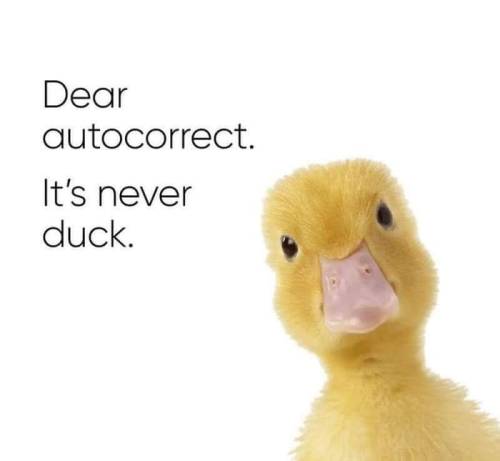 sixpenceee:   Duck you autocorrect.  