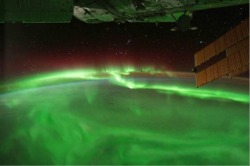 space-wallpapers:  The Aurora Borealis as seen from space