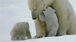 phototoartguy:  “Family in the Snow!” 
