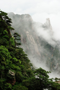 4nimalparty:  20120603_102319 (by daddy_of_twins)