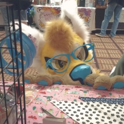 yellodoggo:🙈pEEKABOO!!!🙉 Meeps! x3