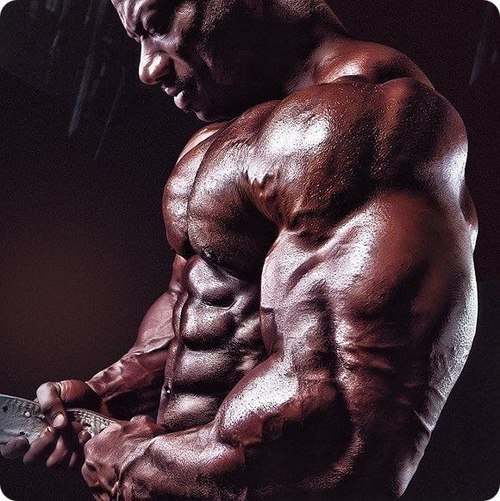  “Before you start bodybuilding imagine your upper limit.