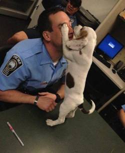  Police officers rescued the little pup from an abusive owner.