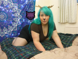 fishnethousepet:  Queueing up some pics from this reindeer set
