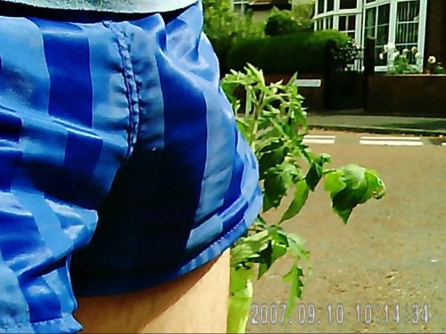 tumblr photo guysinshortshorts 0