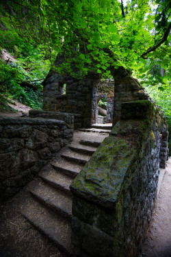 outdoormagic:  The Witch’s House, Forest Park, Portland by