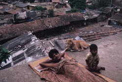 ouilavie:  Bruno Barbey. India. Bombay. 1980. Homeless seek shelter