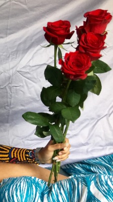 panteha:  Close ups of me and my roses 