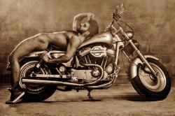 toineaunaturel:  Harley Davidson 