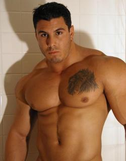 muscleaddict:  Need More Muscle Gay Porn Stars? - Click To