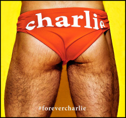 charliebymatthewzink:  Charlie by Matthew Zink SPRING 2015 www.charliebymz.com#Forevercharlie
