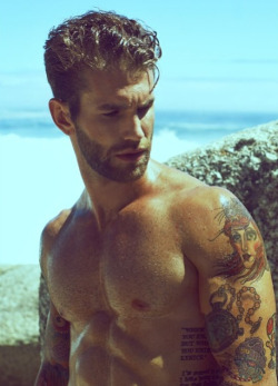 adonisarchive:  André Hamann  