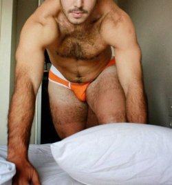 xxxnewstitch:  ;-)