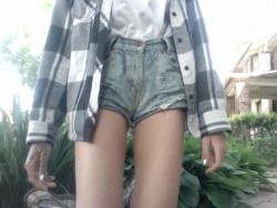 racoo-n:  x