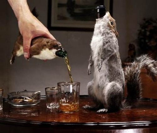 Party time at the Taxidermy Corral
