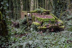 abandonedandurbex:  WWII Halftrack, Newberg, Oregon. [1600 ×