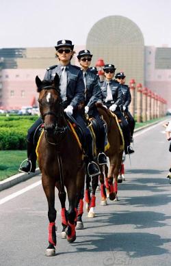 chinatravelpic:  (via Dalian horsewoman police)